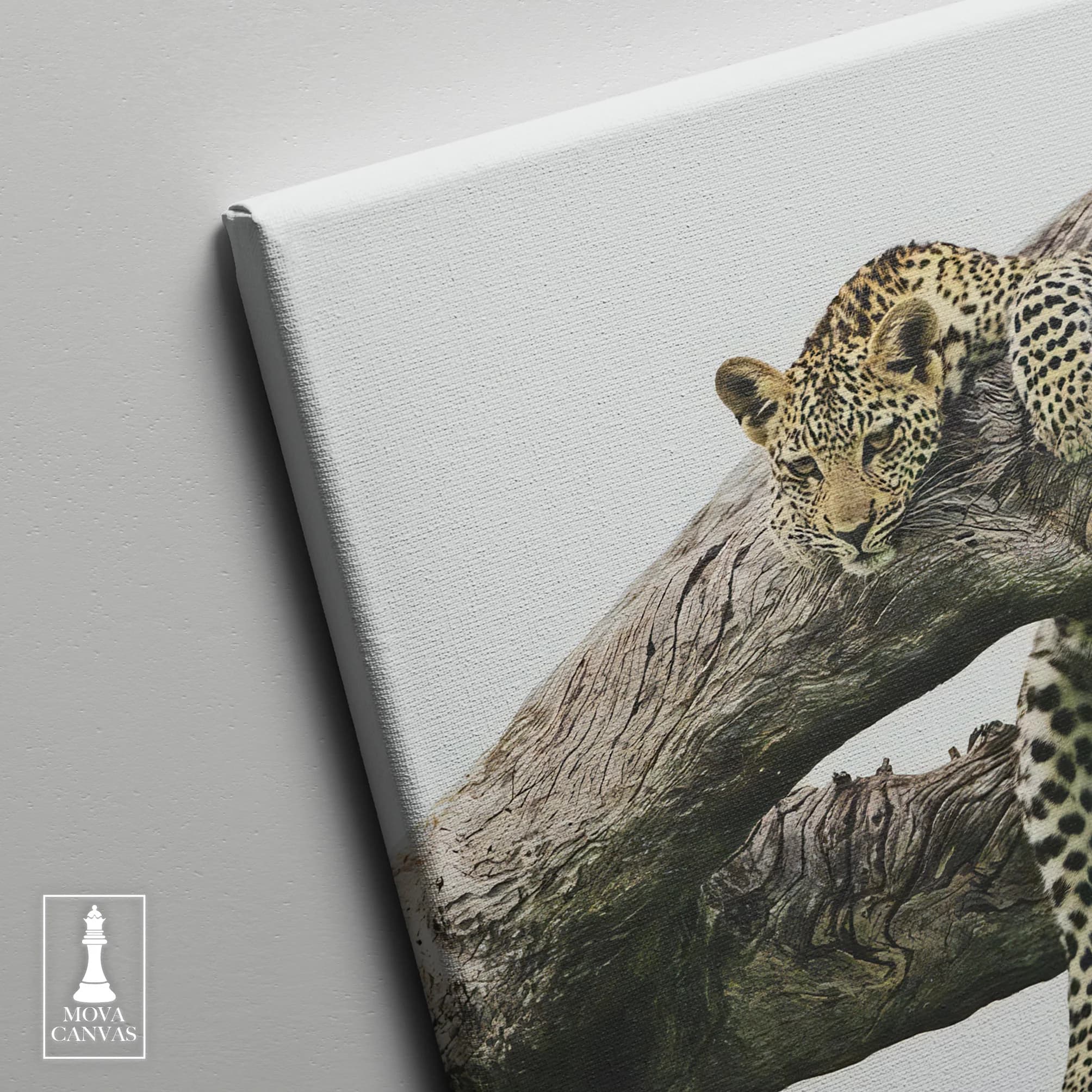 Leopard Sitting Tree artwork preview 4