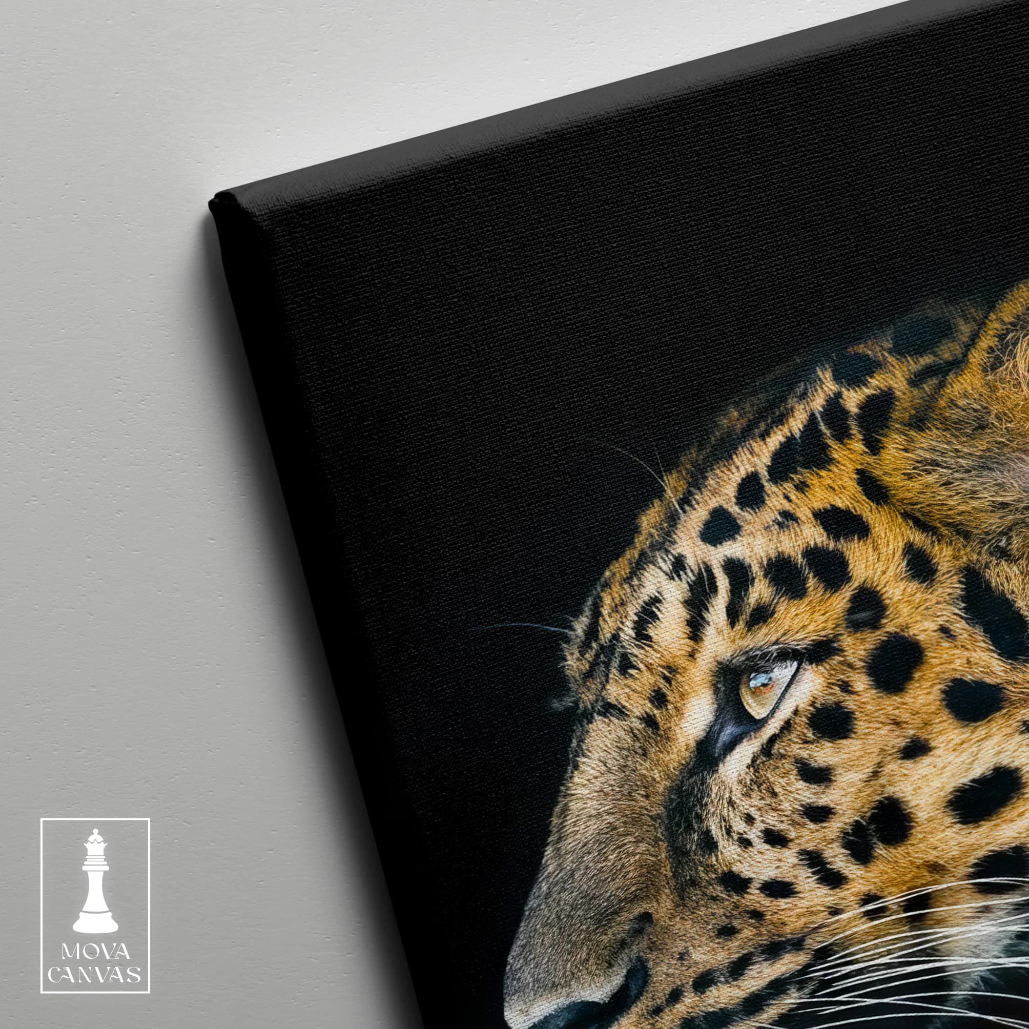 Leopard 321 artwork preview 2