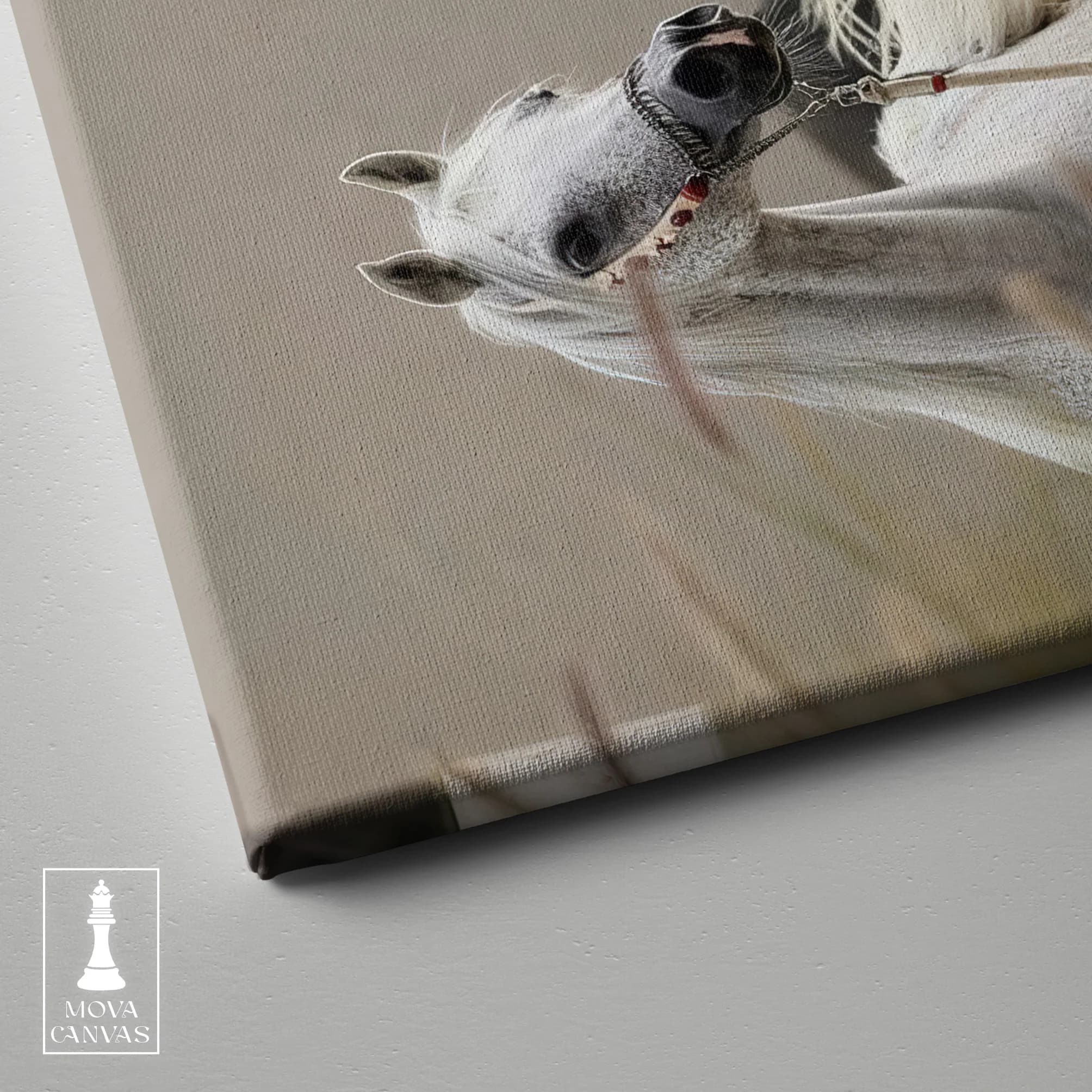 Horse Long Mane artwork preview 3