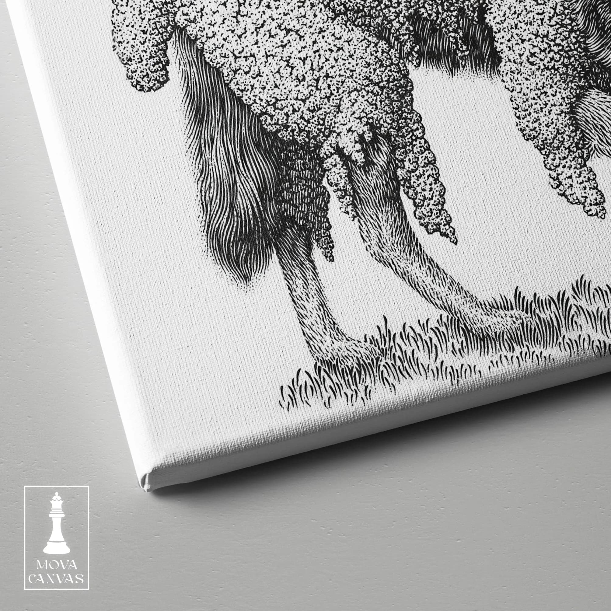 Black White Drawing 346 artwork preview 3