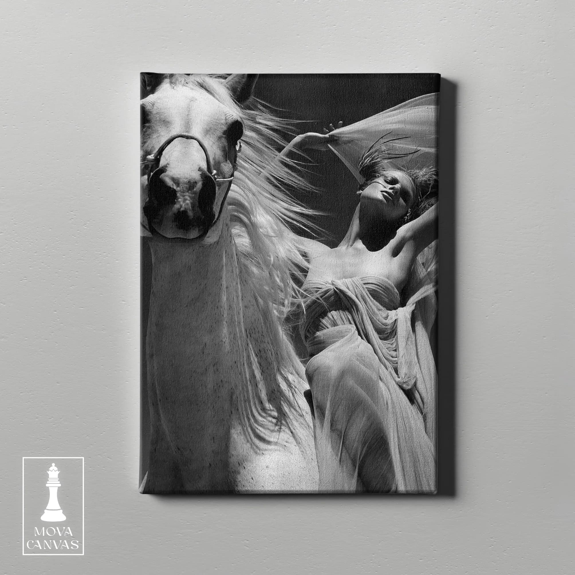 Black White Horse 355 artwork preview 2