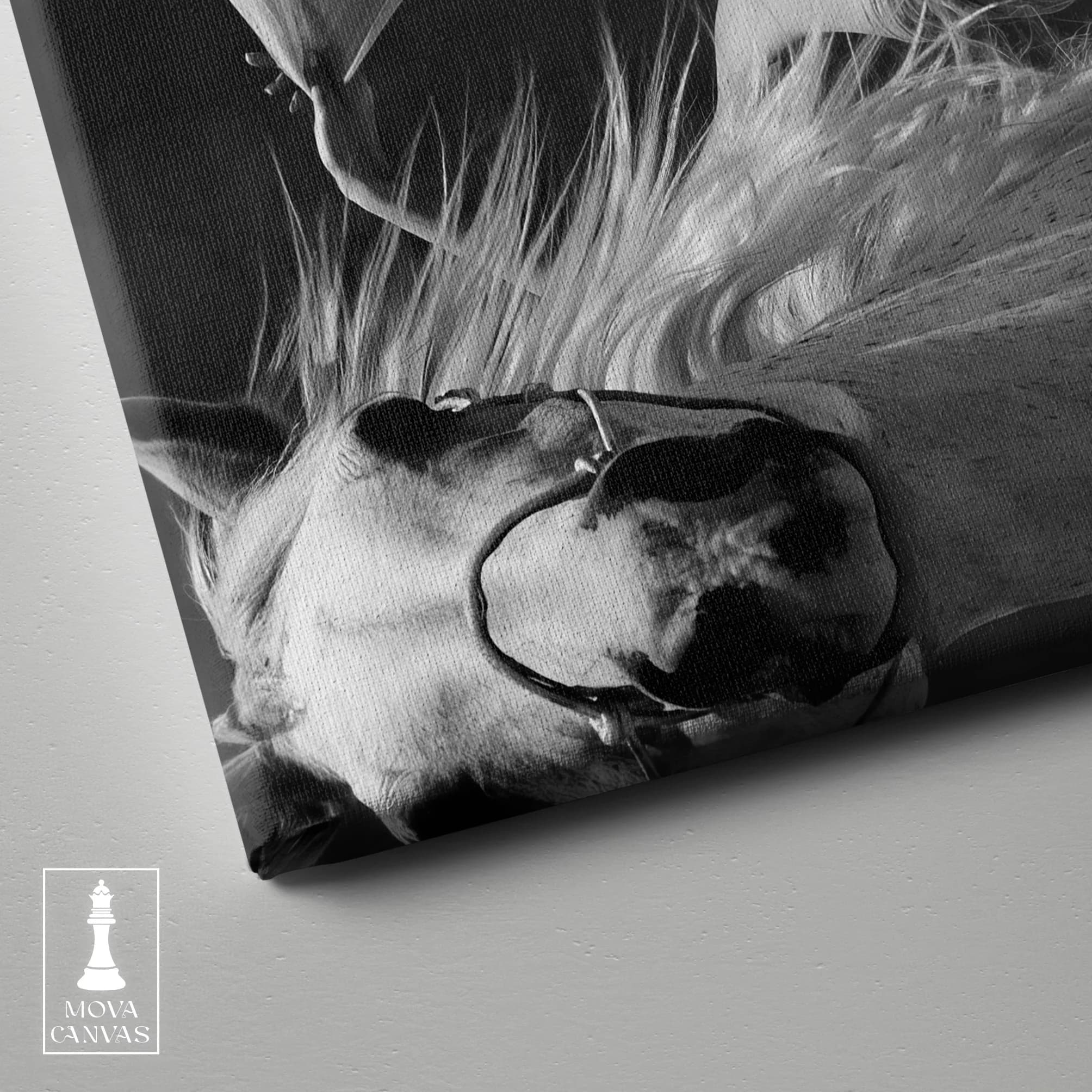 Black White Horse 355 artwork preview 3