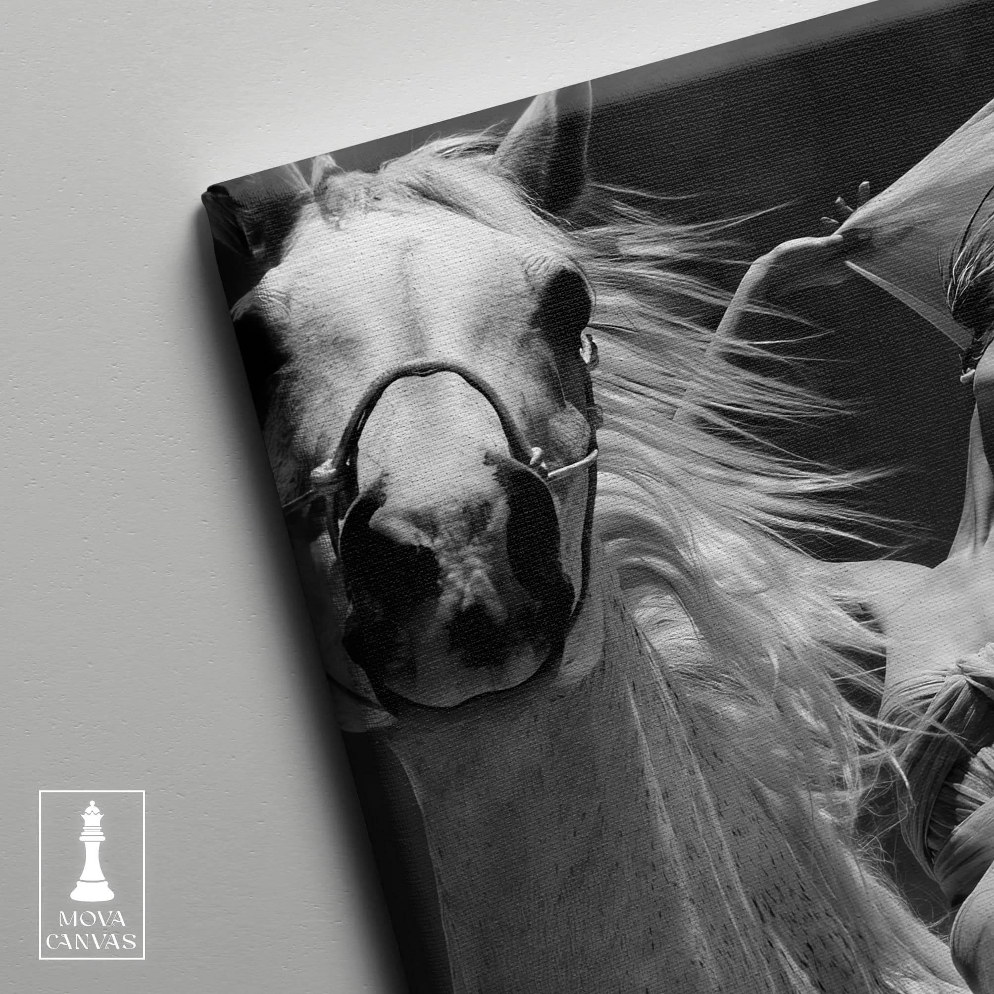 Black White Horse 355 artwork preview 4