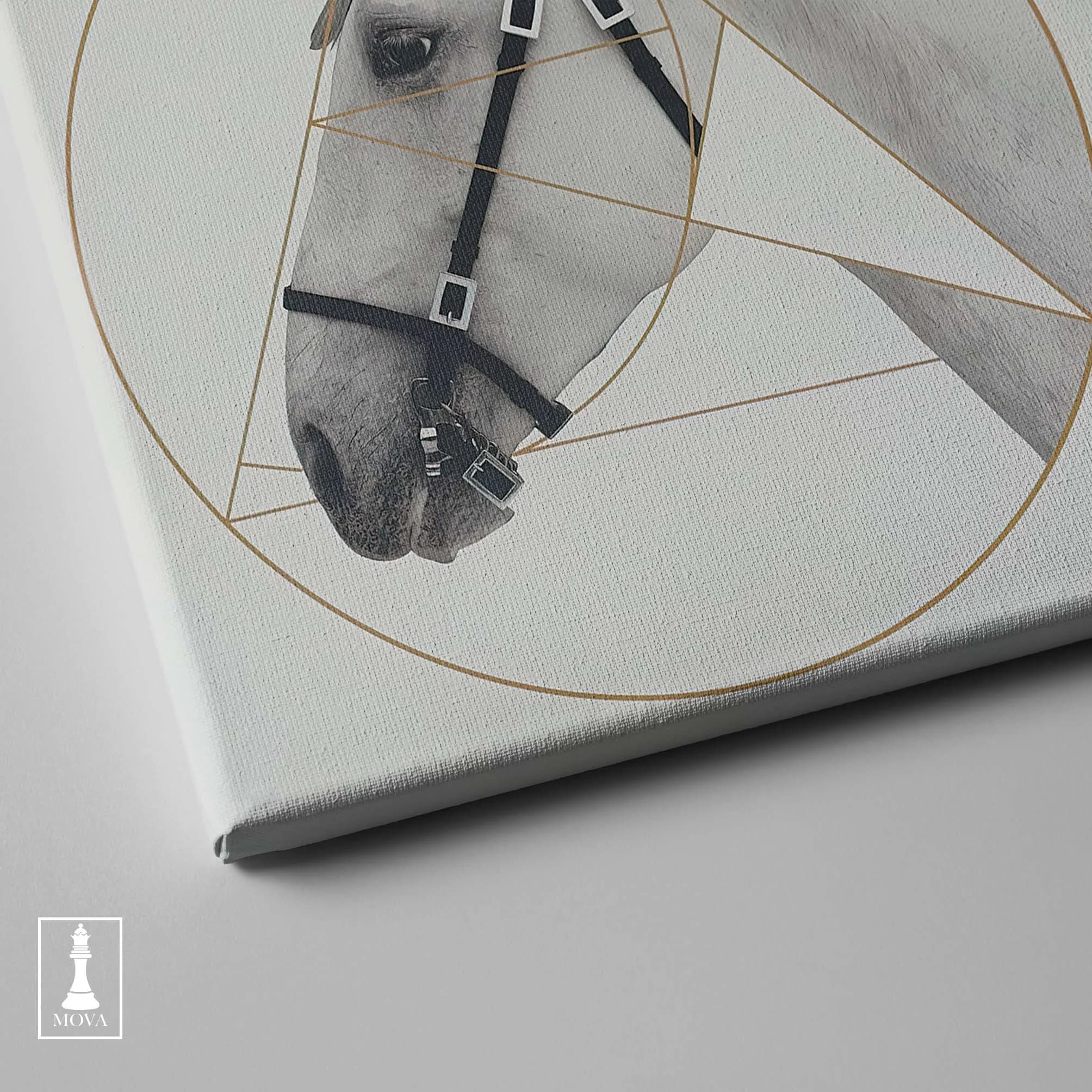 Horse Golden Circle artwork preview 2