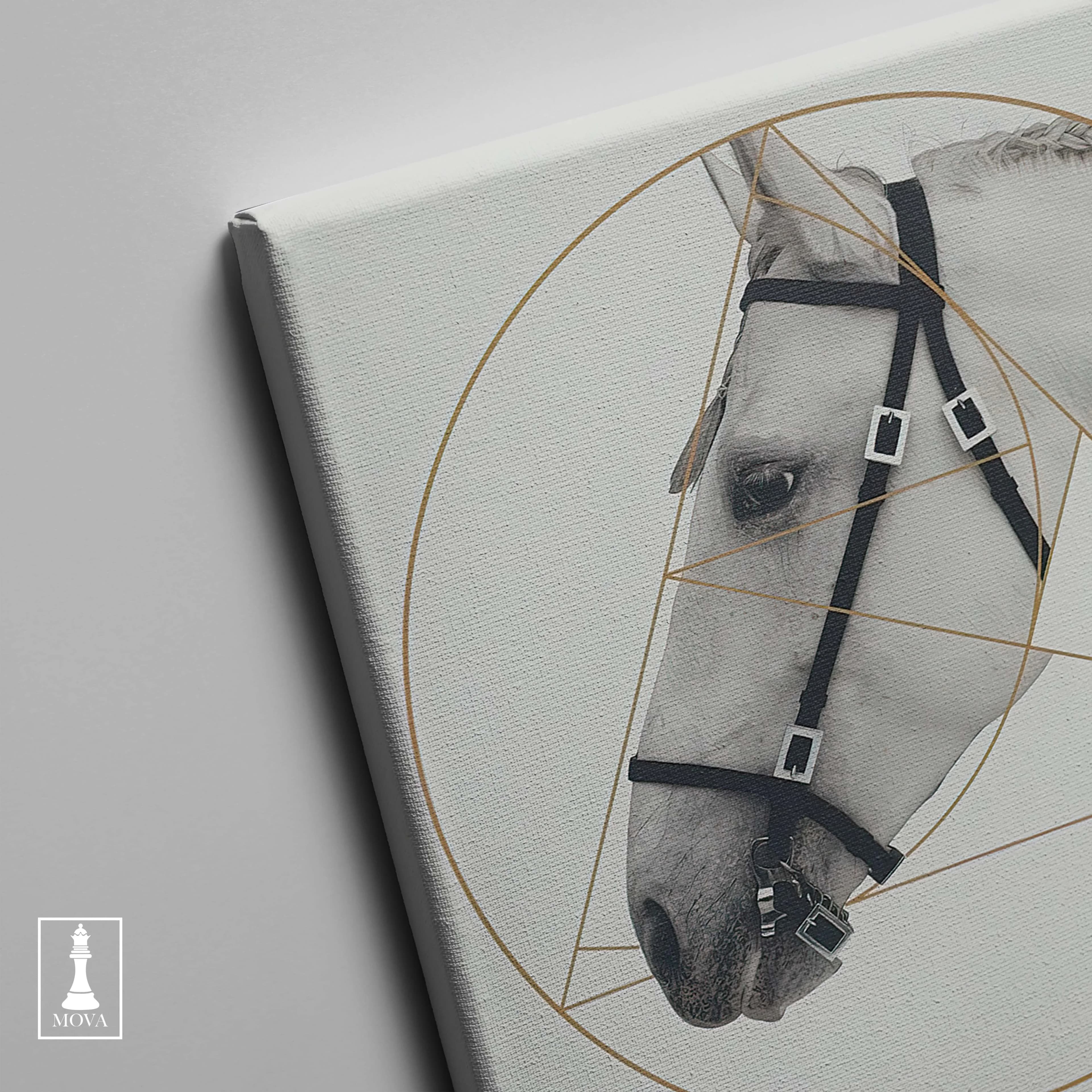 Horse Golden Circle artwork preview 4