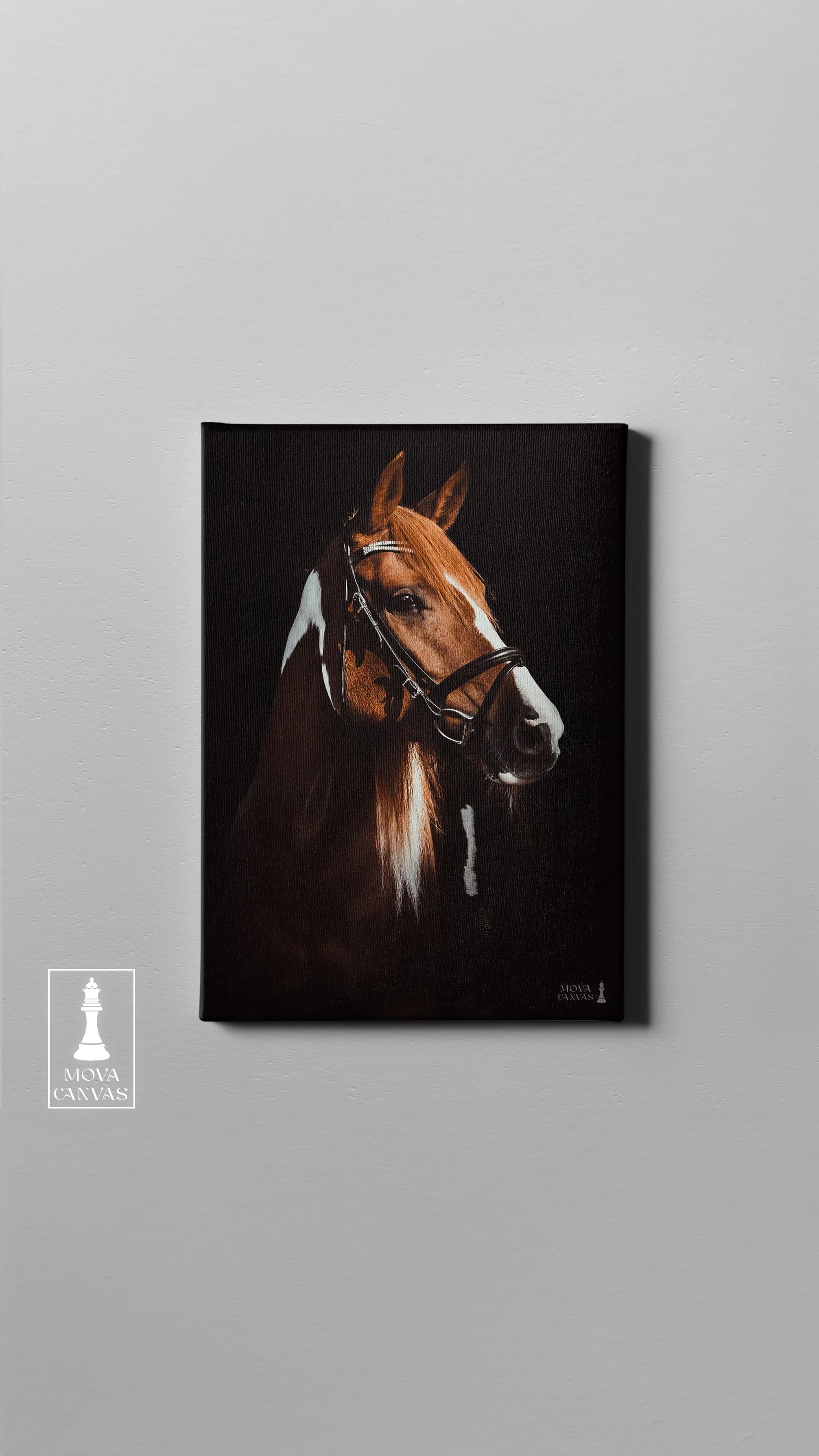 Horse Shown Black 920 artwork preview 2