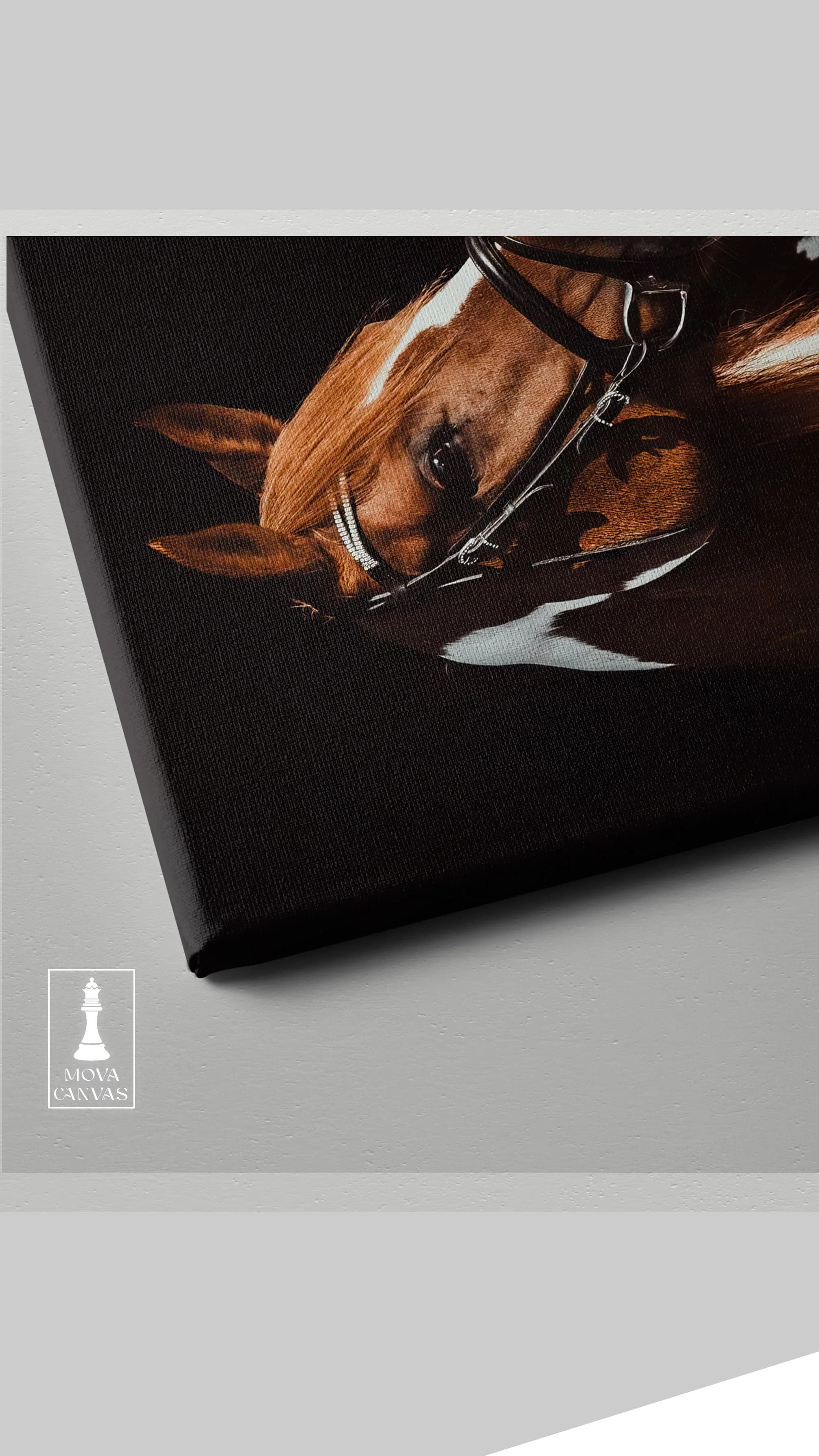 Horse Shown Black 920 artwork preview 3