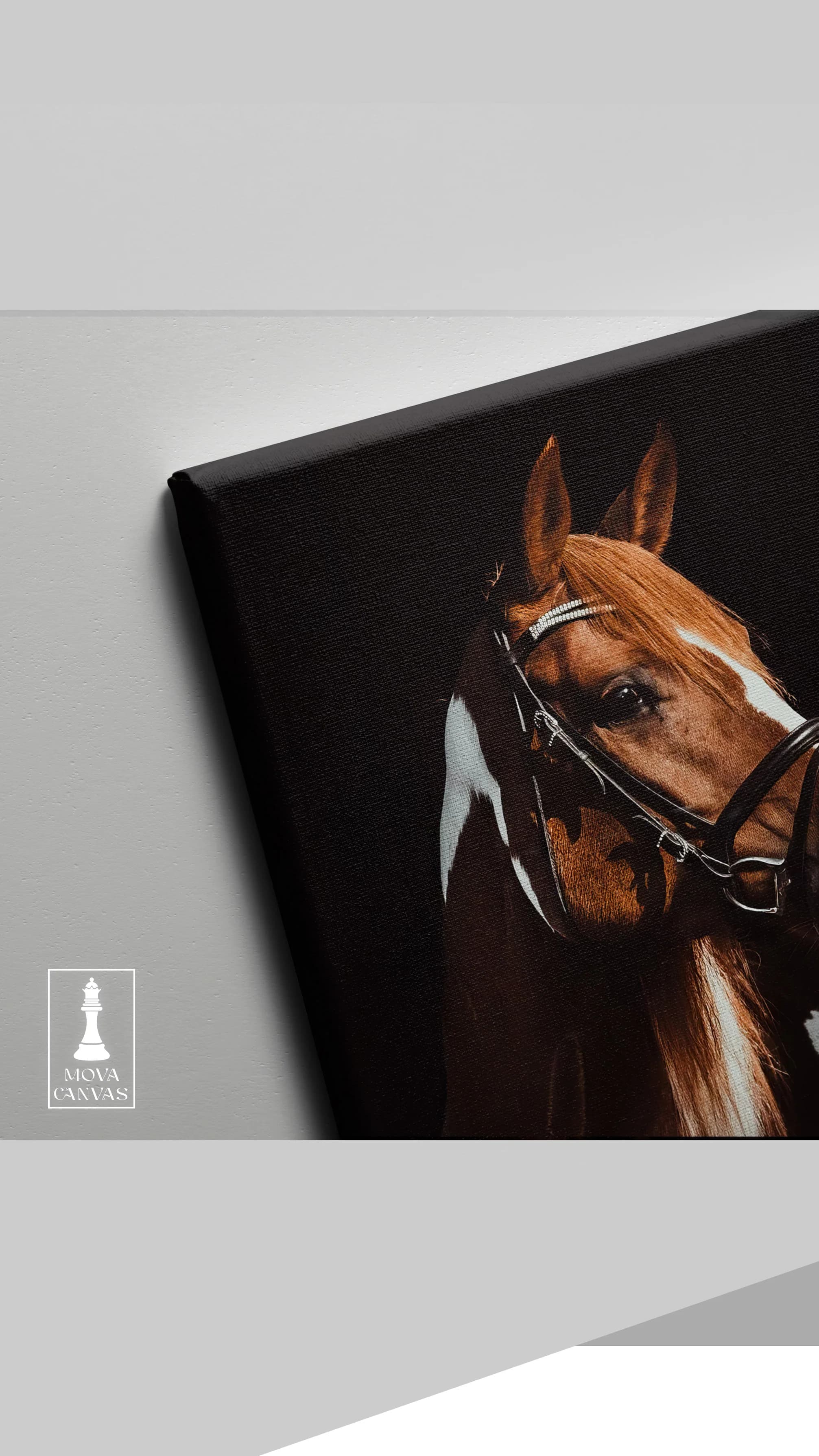 Horse Shown Black 920 artwork preview 4