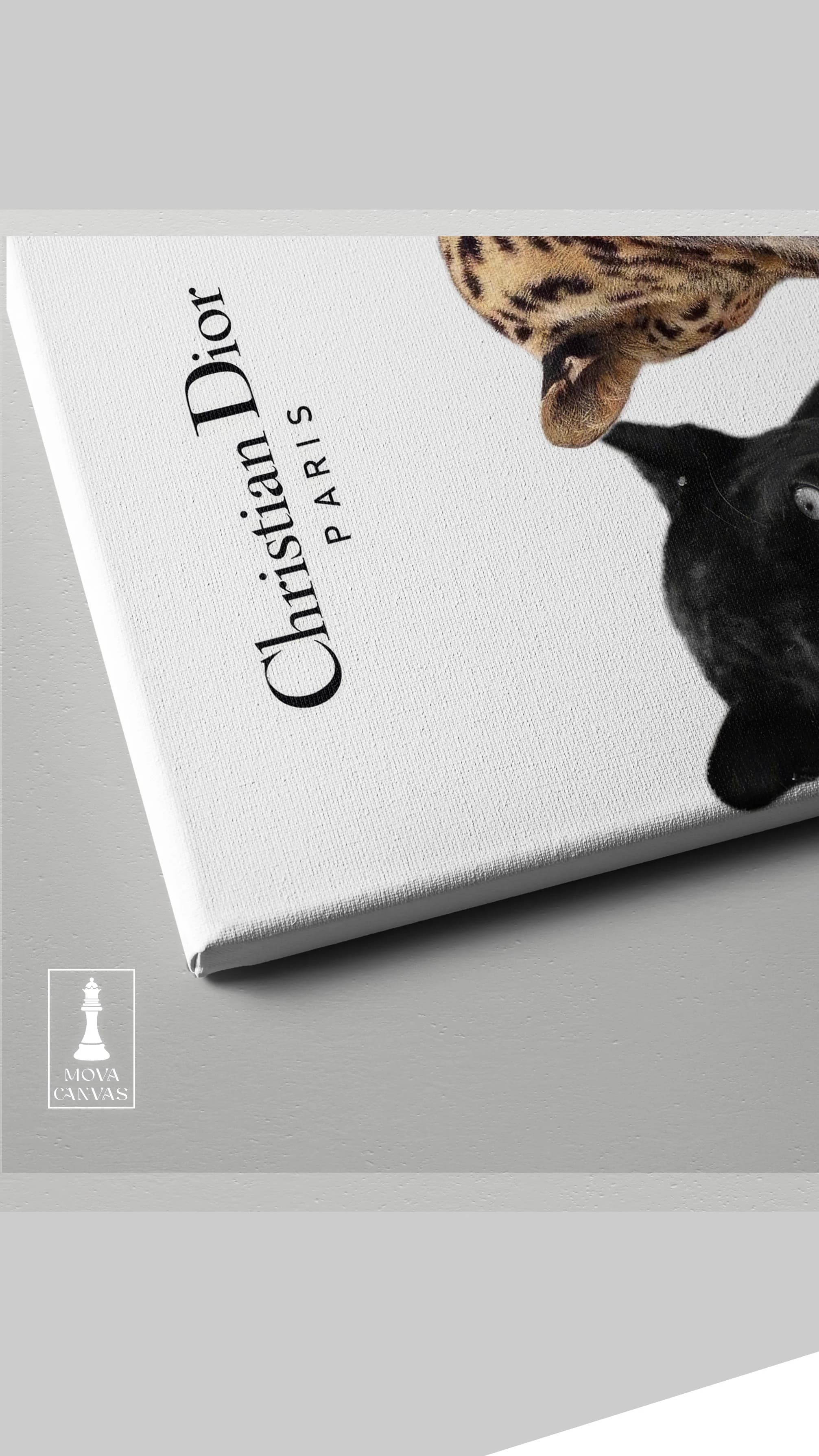 Christian Dior Leopard artwork preview 3