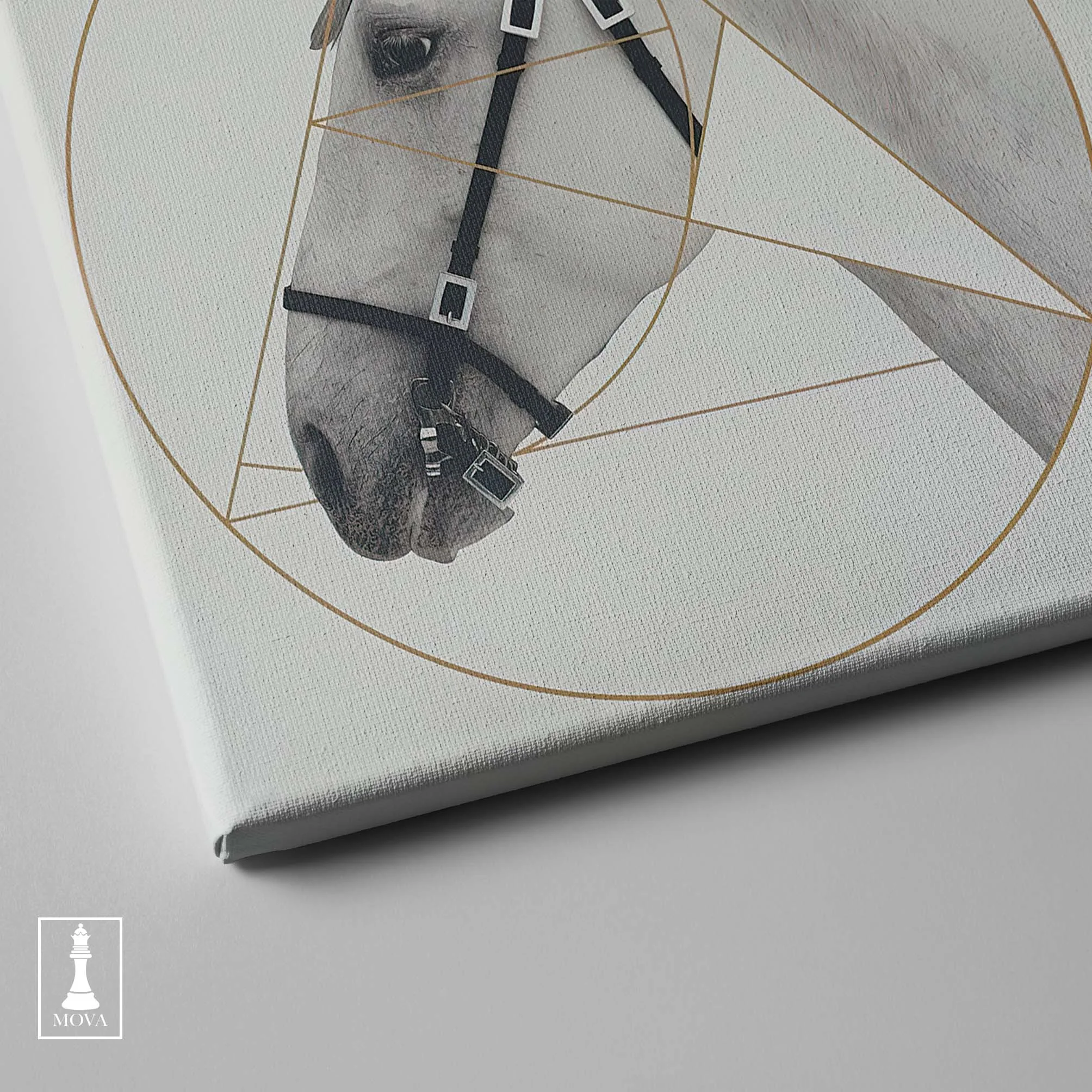 Horse Golden Circle artwork preview 2