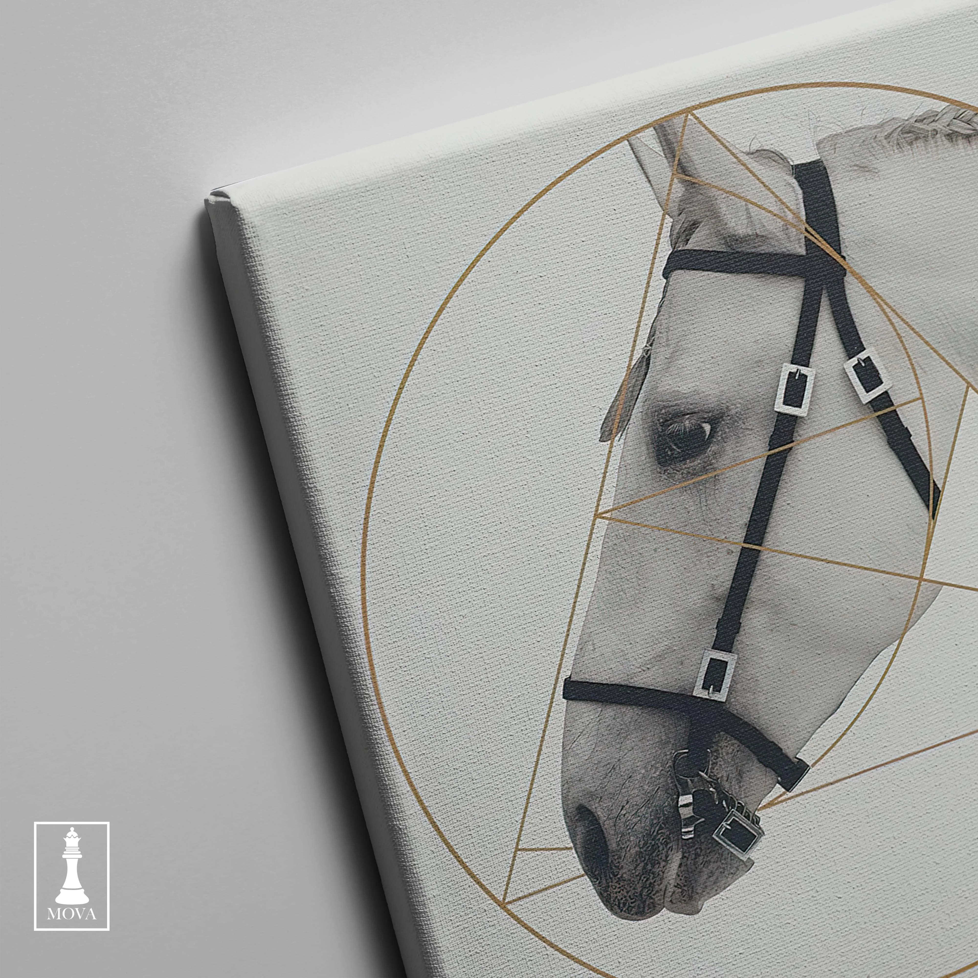 Horse Golden Circle artwork preview 4